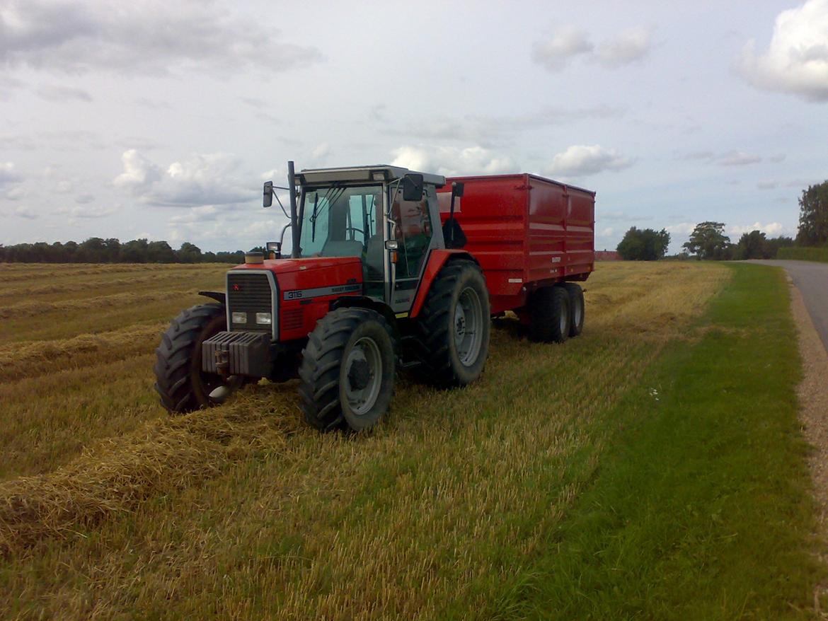 Massey Ferguson 3115 billede 1