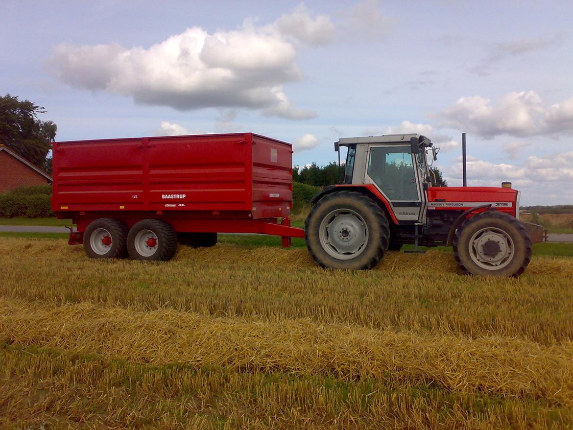 Massey Ferguson 3115 billede 3