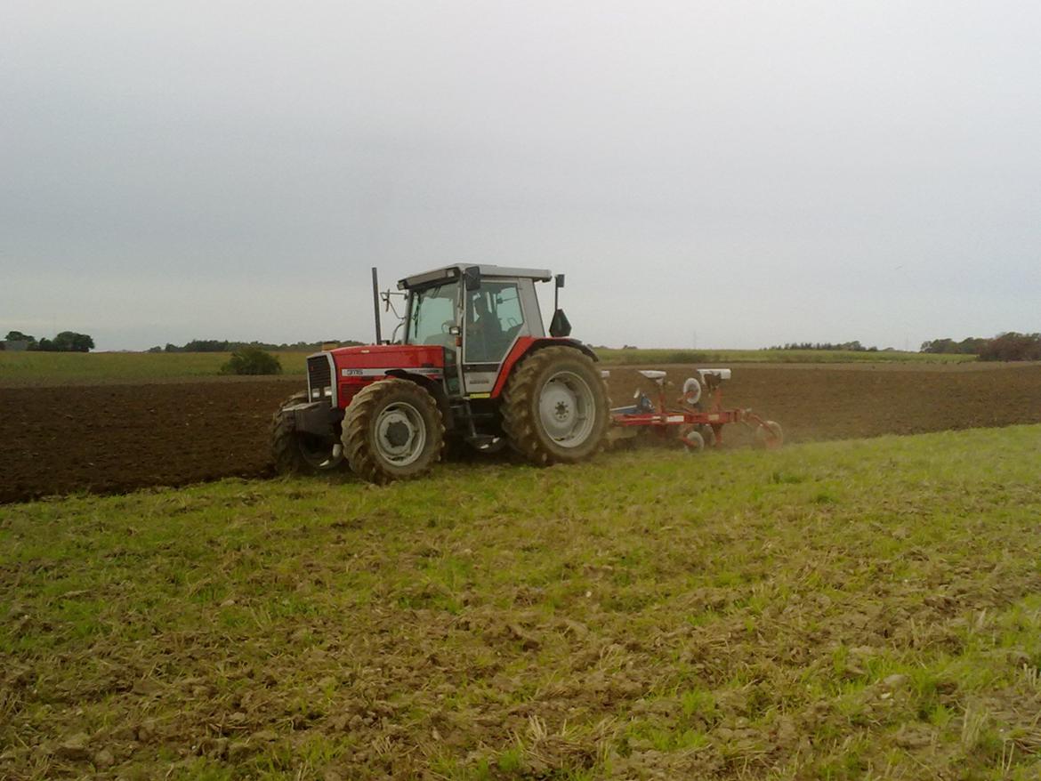 Massey Ferguson 3115 billede 6