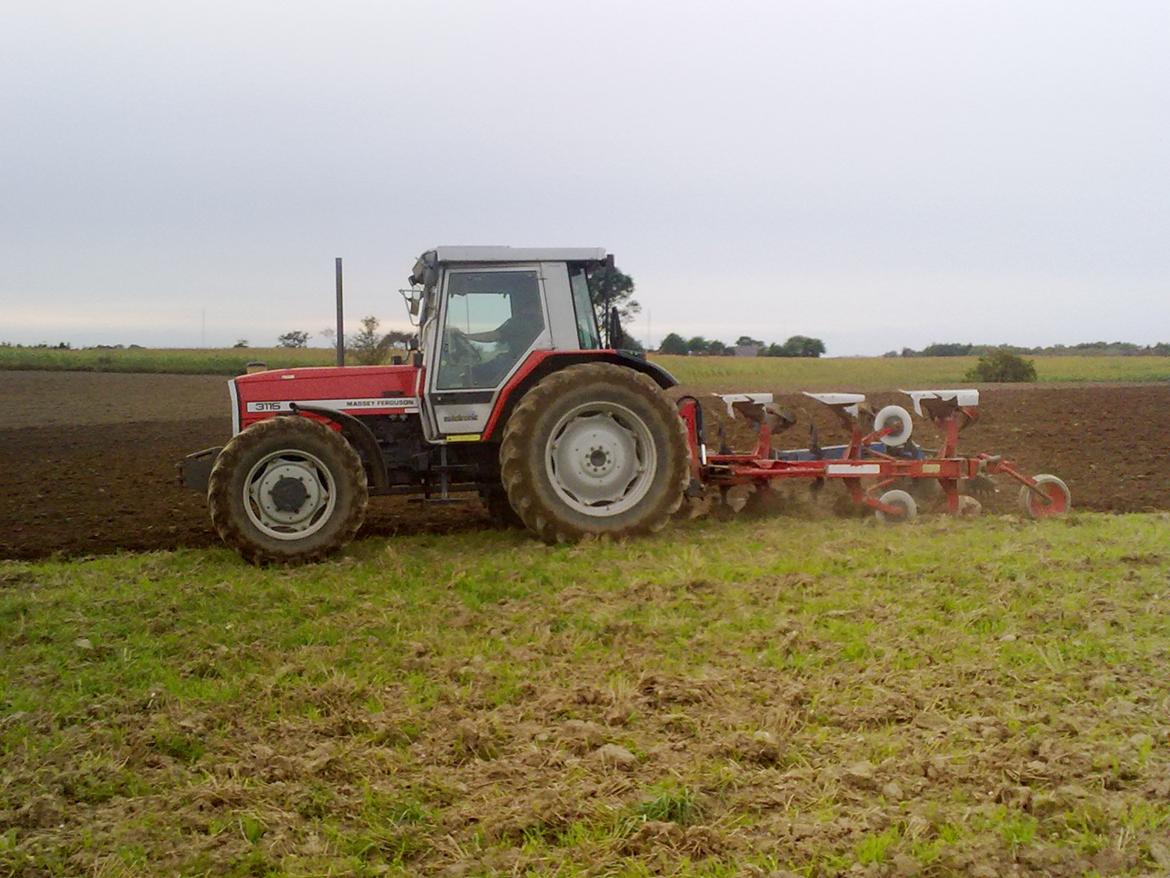 Massey Ferguson 3115 billede 7