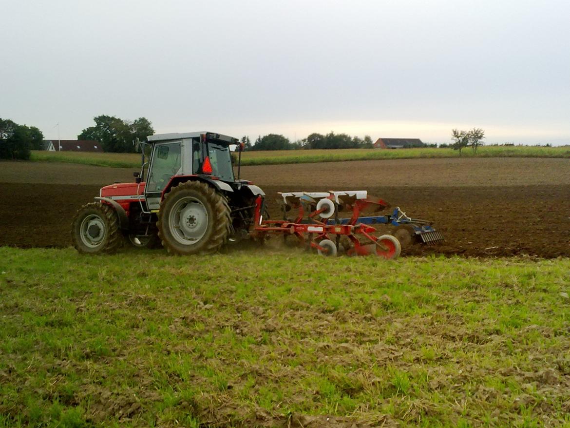 Massey Ferguson 3115 billede 8