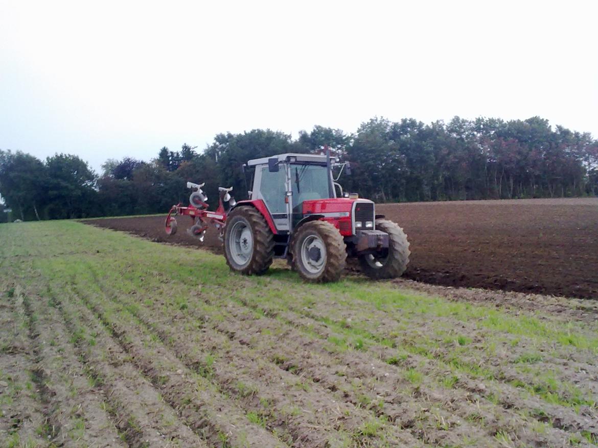 Massey Ferguson 3115 billede 9