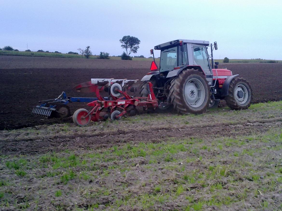 Massey Ferguson 3115 billede 11