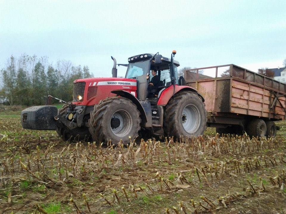 Massey Ferguson 7495 Dyna VT - Majs kørsel 2012 :)  billede 15