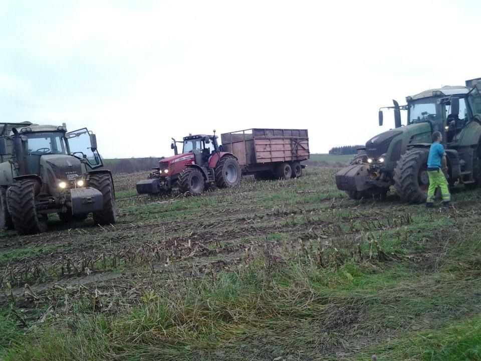 Massey Ferguson 7495 Dyna VT - Majsen 2012, mellem maskinstationens 2 Fendt 936'ere ;)  billede 16