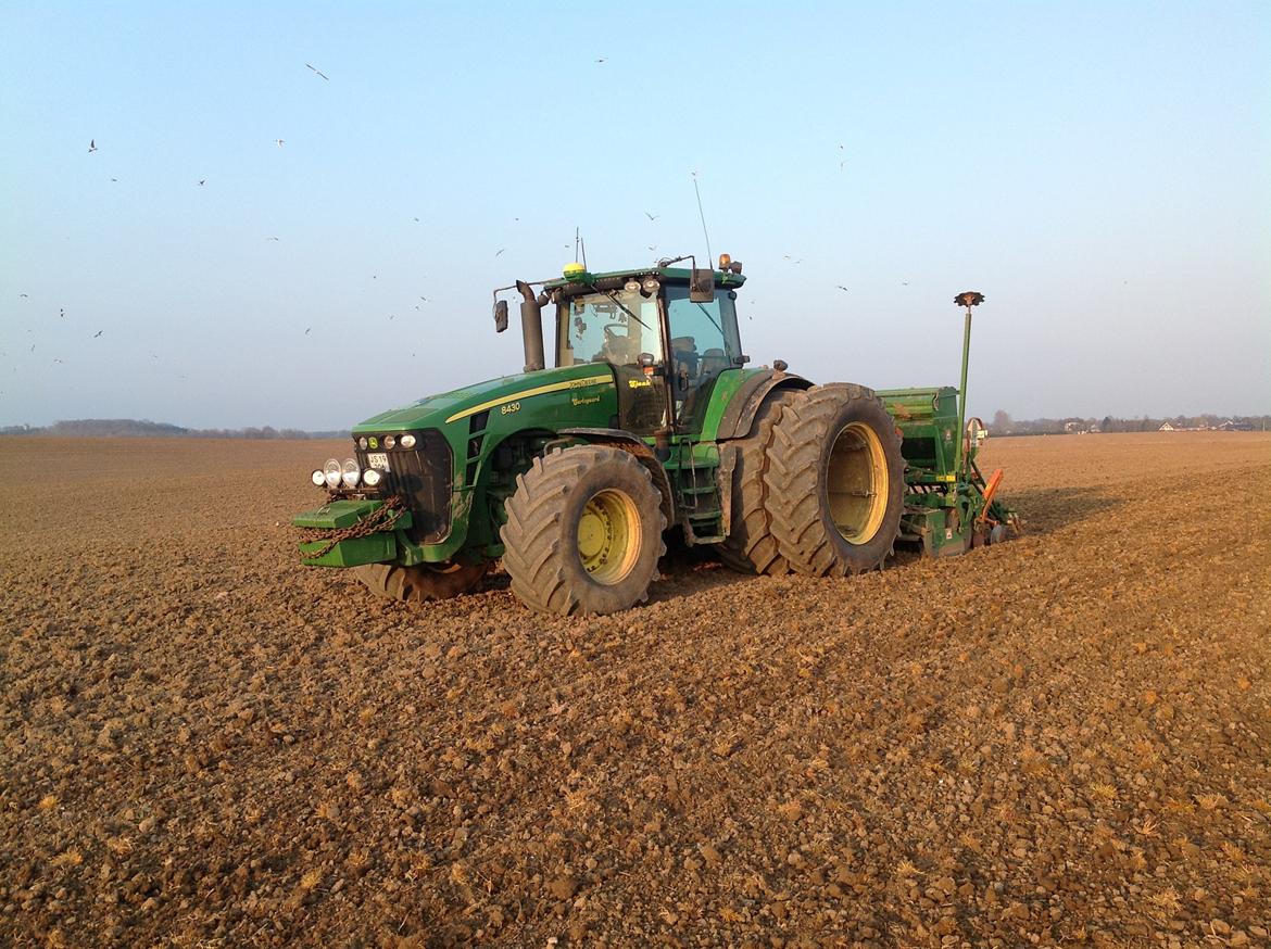 John Deere 8430 billede 16