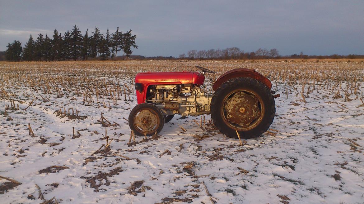 Massey Ferguson 35 benzin billede 1
