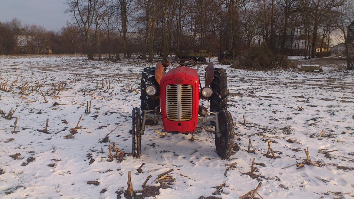 Massey Ferguson 35 benzin billede 3