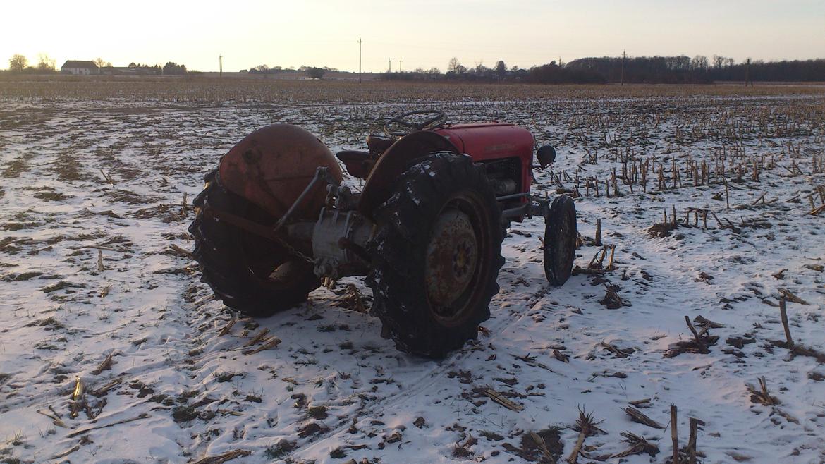 Massey Ferguson 35 benzin billede 6