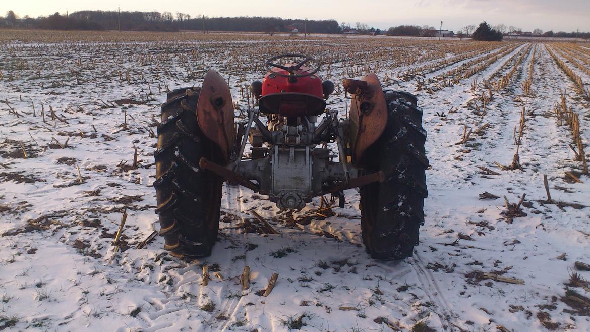 Massey Ferguson 35 benzin billede 7