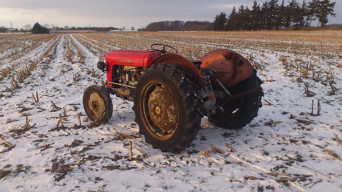 Massey Ferguson 35 benzin billede 8