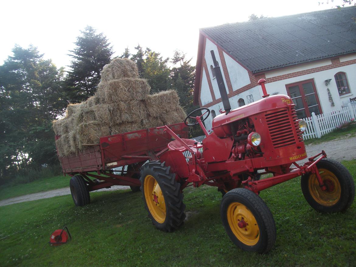 Massey Harris Pony 812 - 55 småballer i JF av 40 så har 12 heste nok at lave billede 14