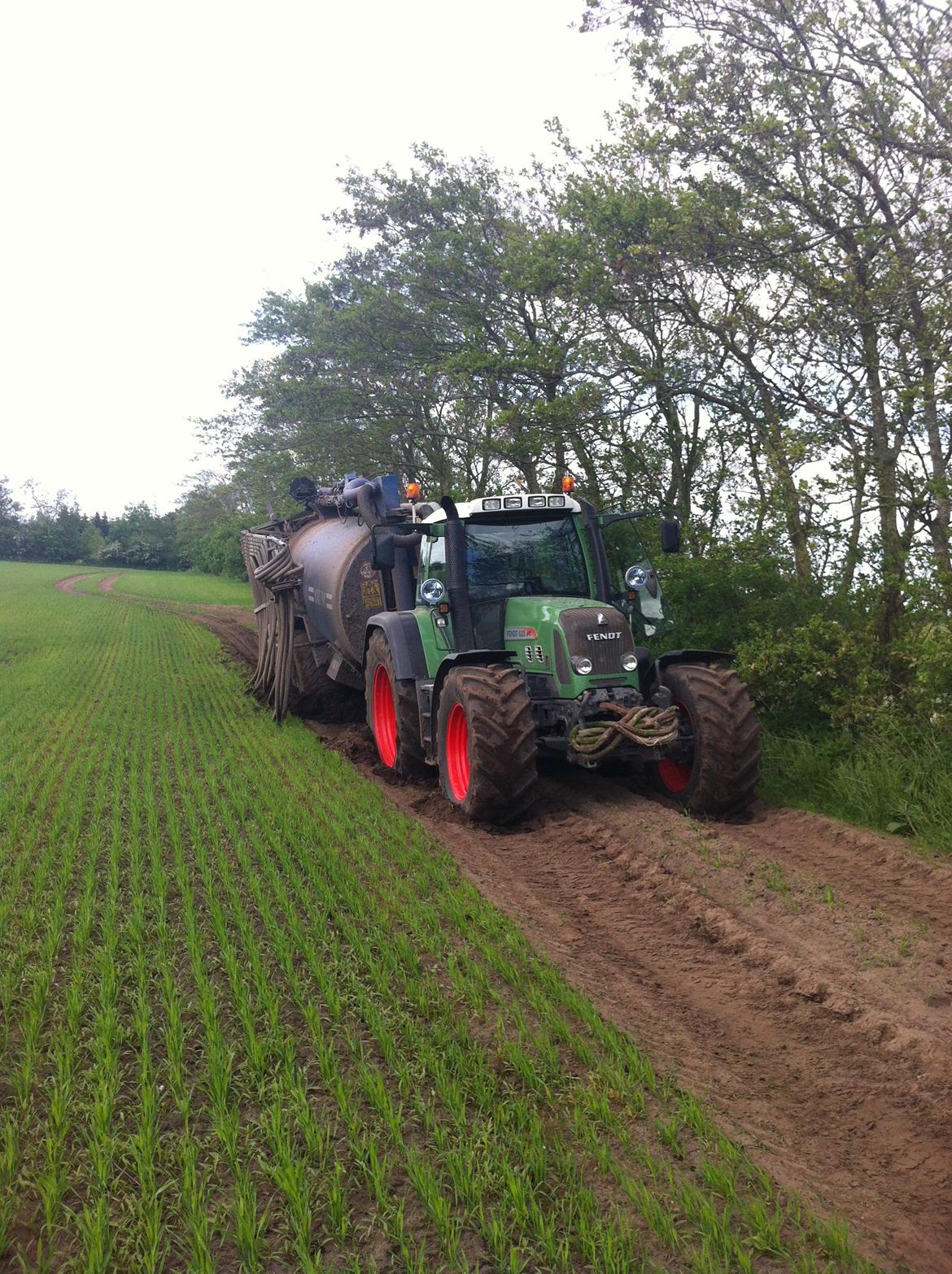 Fendt 820 vario tms billede 12
