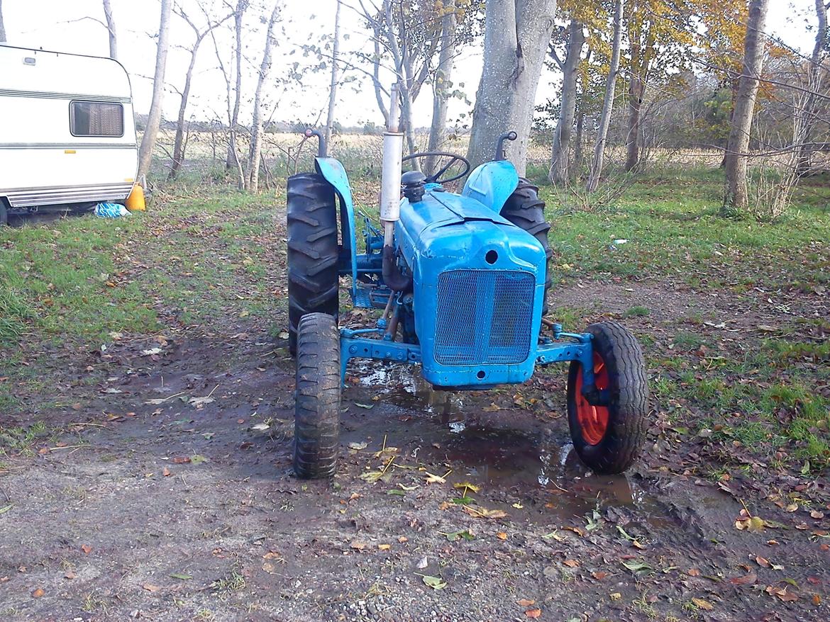 Fordson Dexta (benzin) billede 2