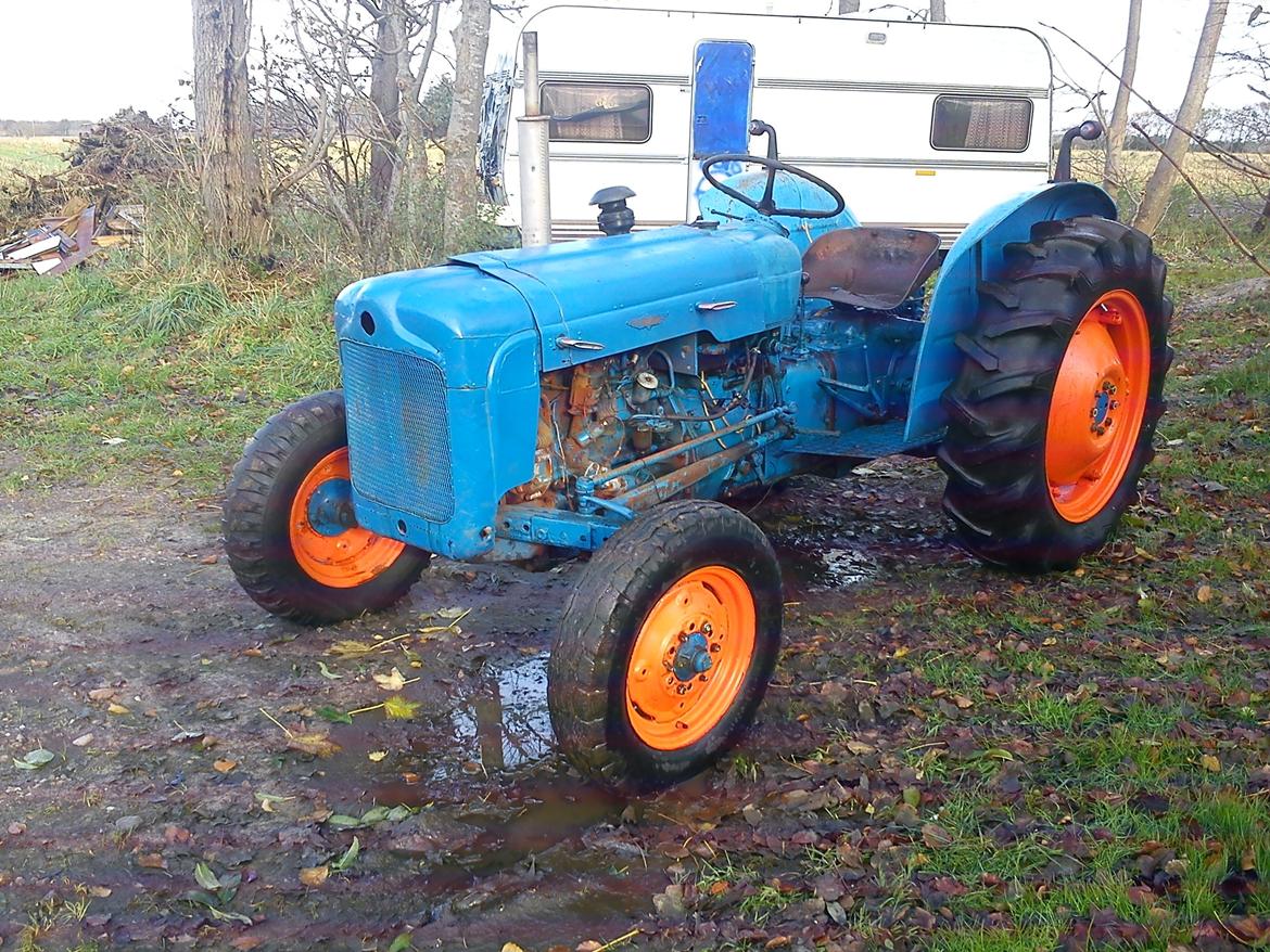 Fordson Dexta (benzin) billede 3