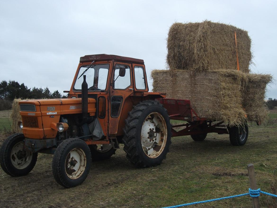 Fiat 700 - 1,5 ton halm er en smal sag for 700´eren billede 14