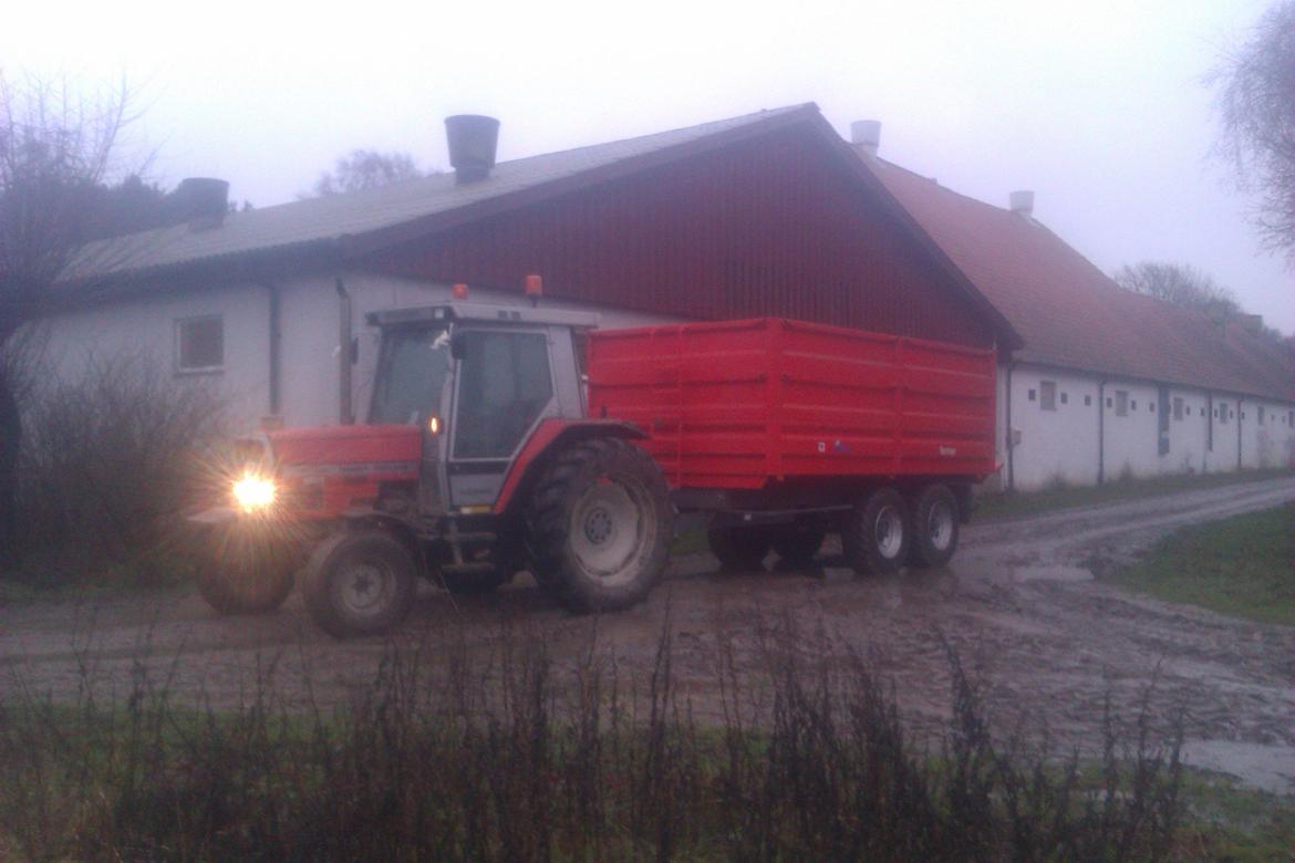 Massey Ferguson 3050 billede 3