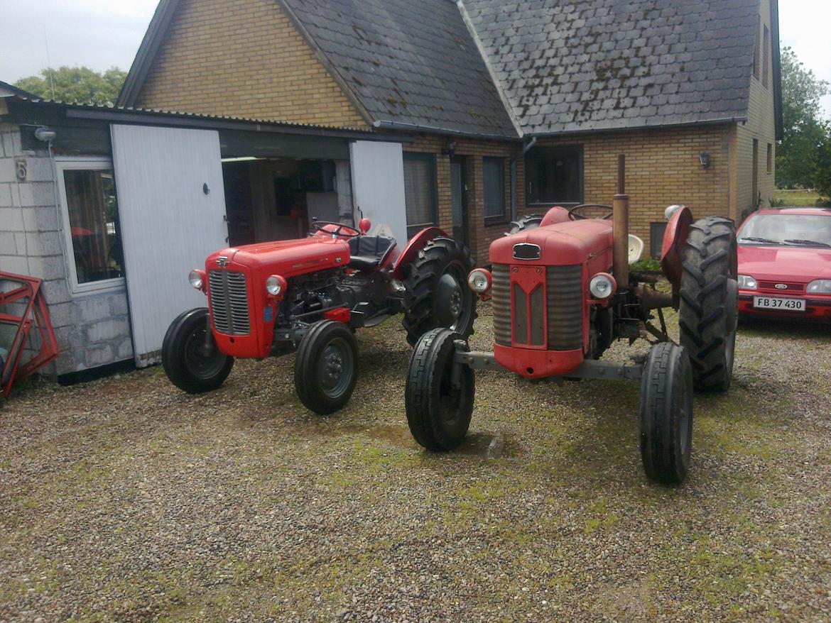 Massey Ferguson 65 mrk 2 - lillebror og storebror billede 8