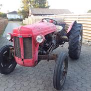 Ferguson 31