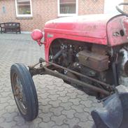 Ferguson 31