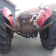 Ferguson 31