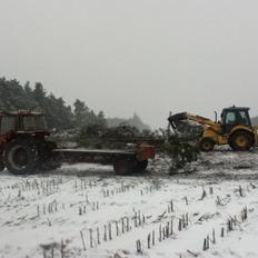 International Harvester 956 XL