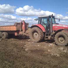 Massey Ferguson 6485 (DynaShift)