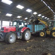 Massey Ferguson 6485 (DynaShift)