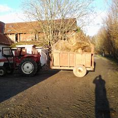 International Harvester 444