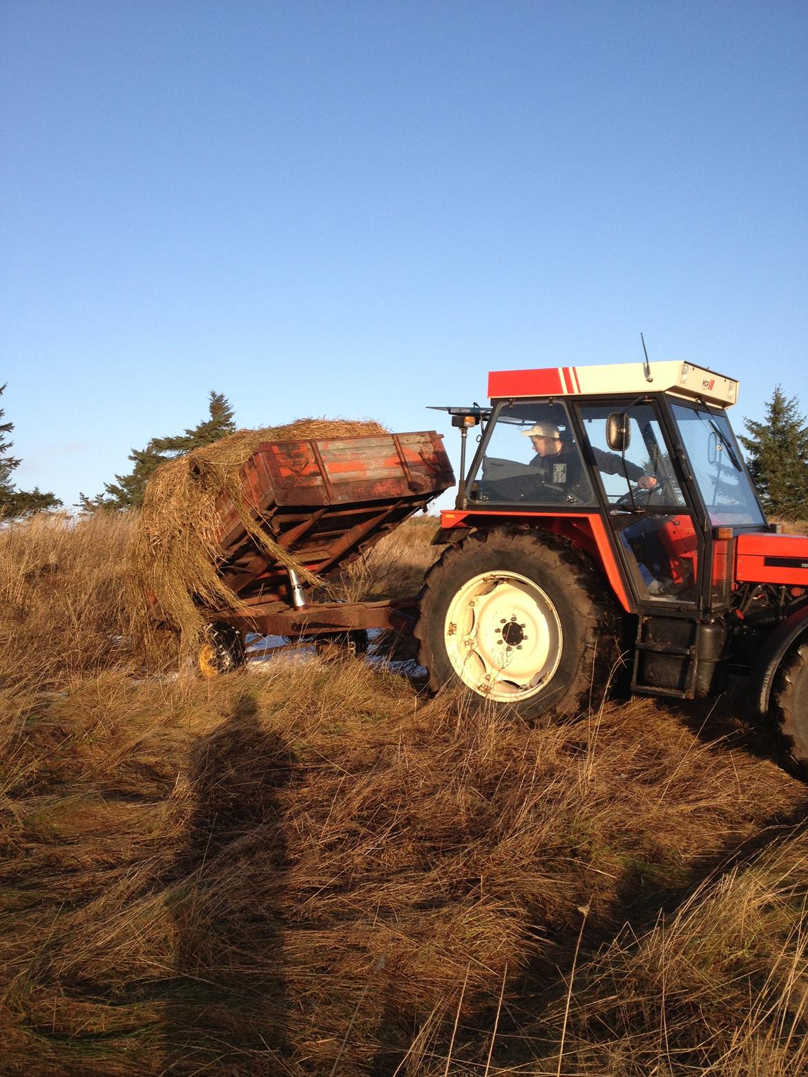 Zetor 7340 billede 7