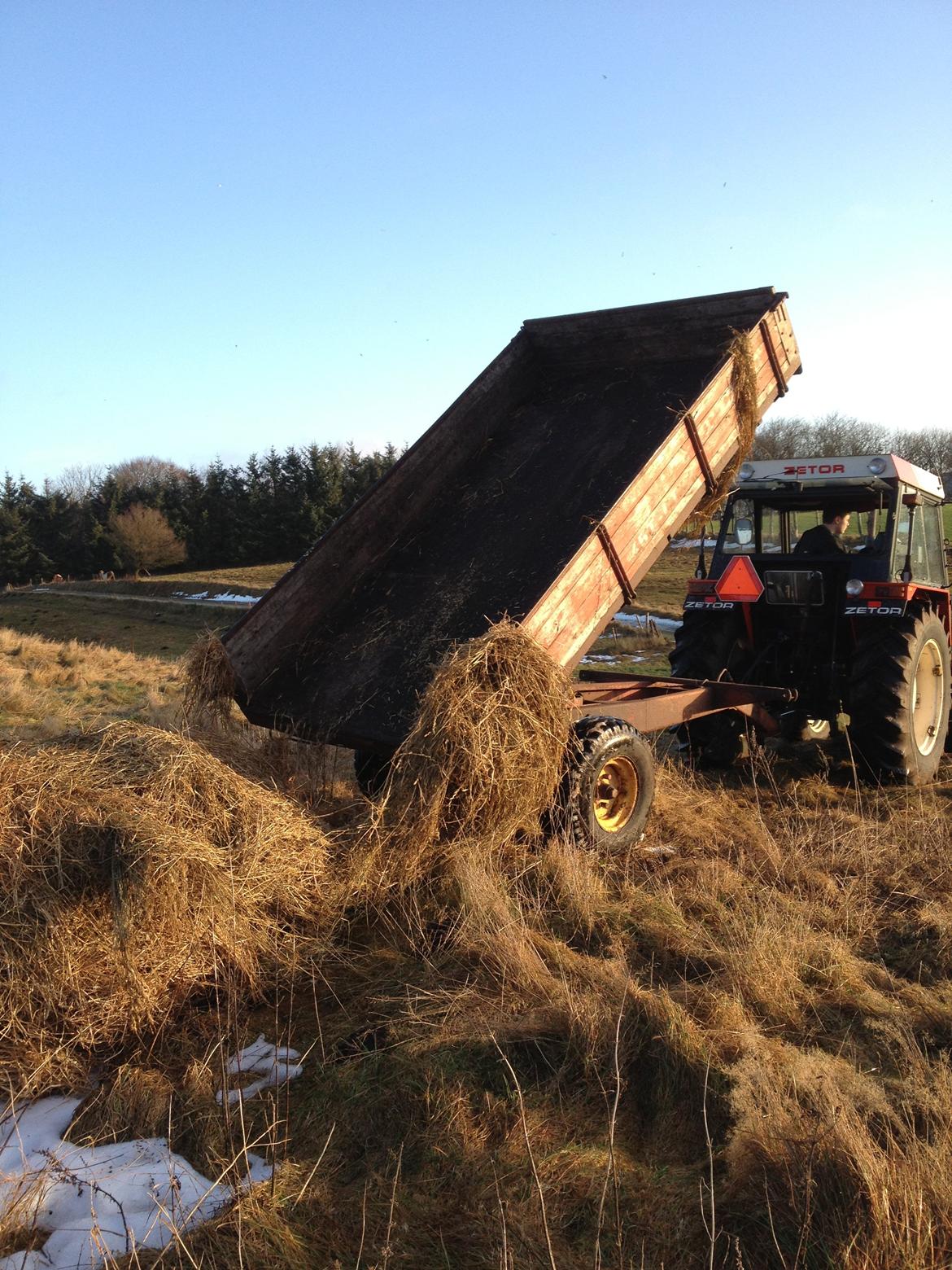 Zetor 7340 billede 10