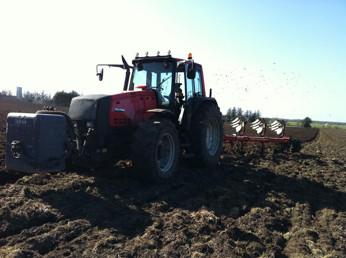 Valtra 8350 Hitech - før, den gik nu ellers helt kanon med ploven. billede 11