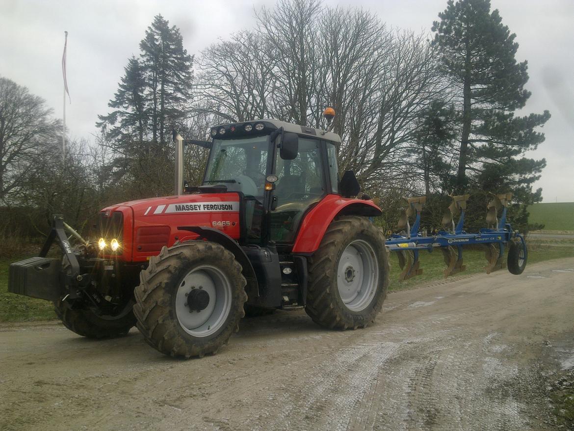 Massey Ferguson 6465 Dyna 6 - så kom vi hjem med den nye øverum plov billede 8