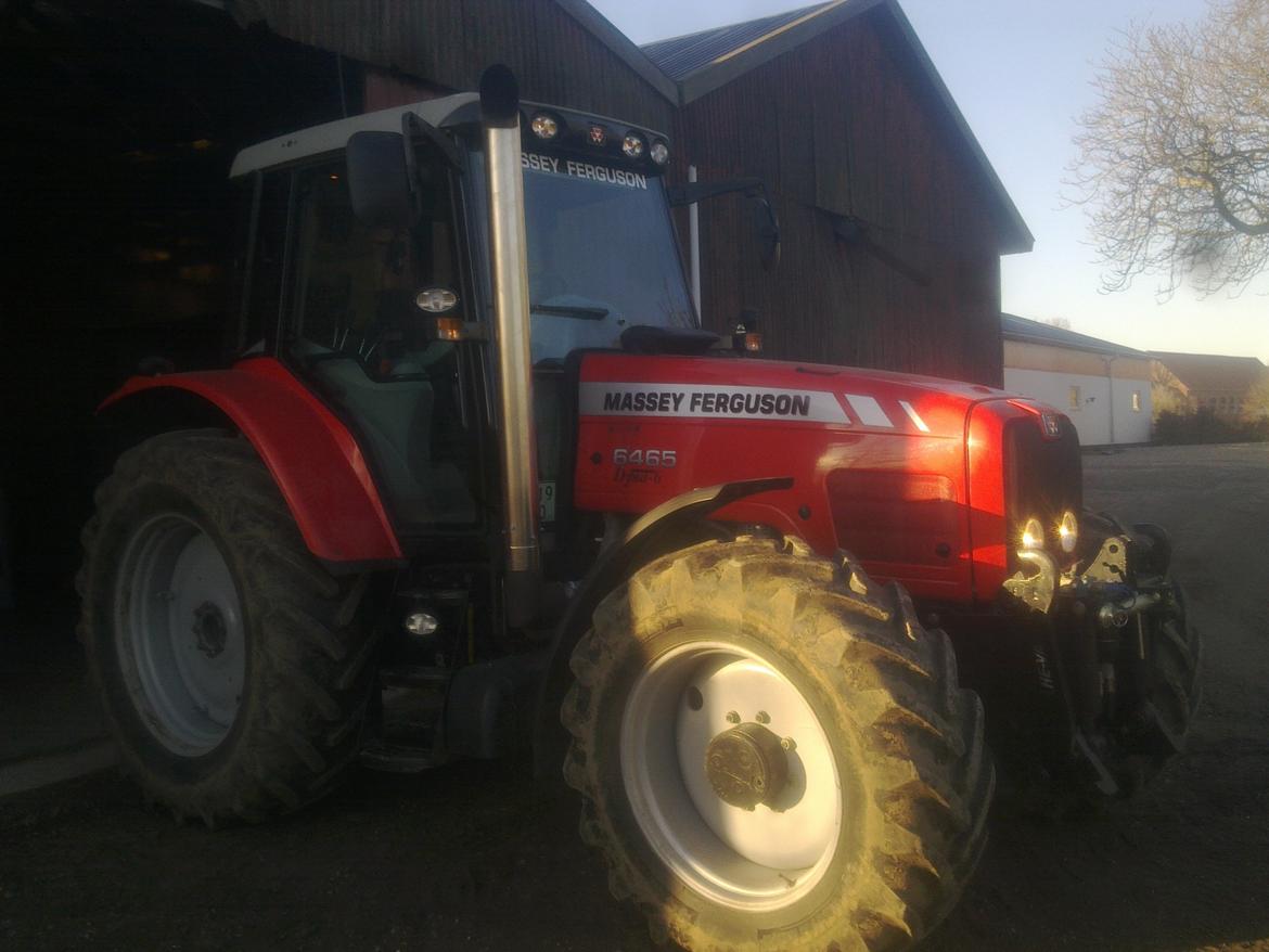 Massey Ferguson 6465 Dyna 6 - forårsklar. billede 14