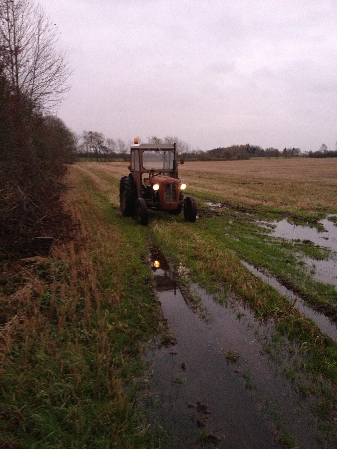 Massey Ferguson 35X billede 2