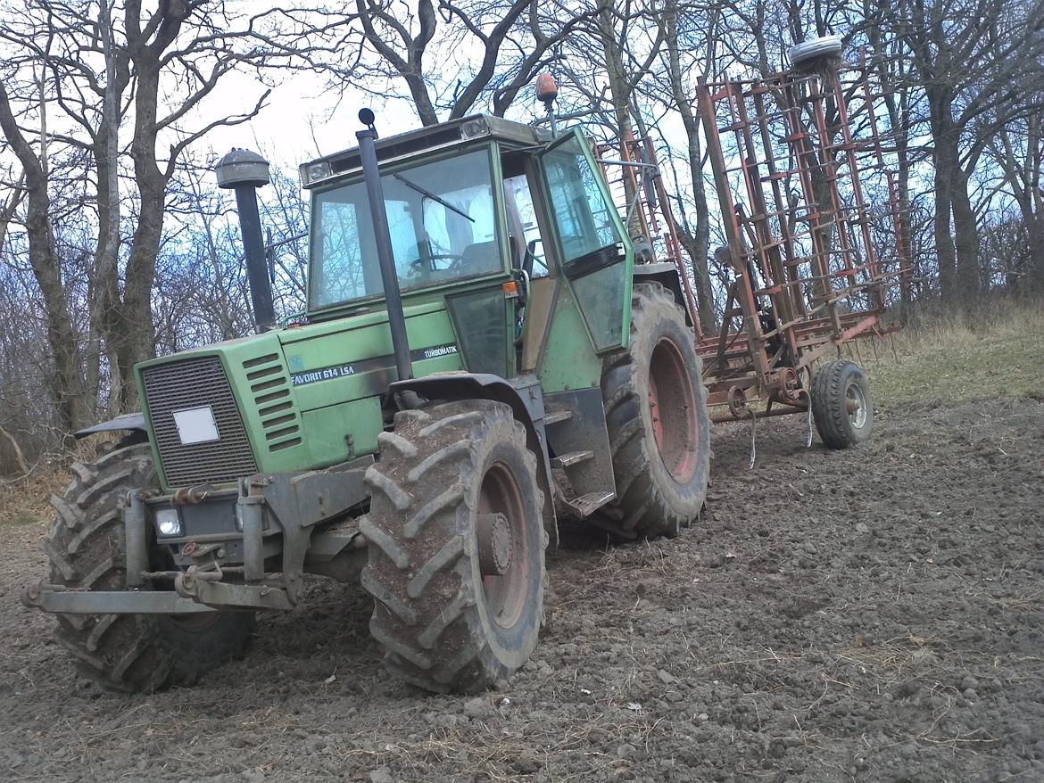 Fendt 614 LSA - Ankomst til marken efter middag.  billede 2