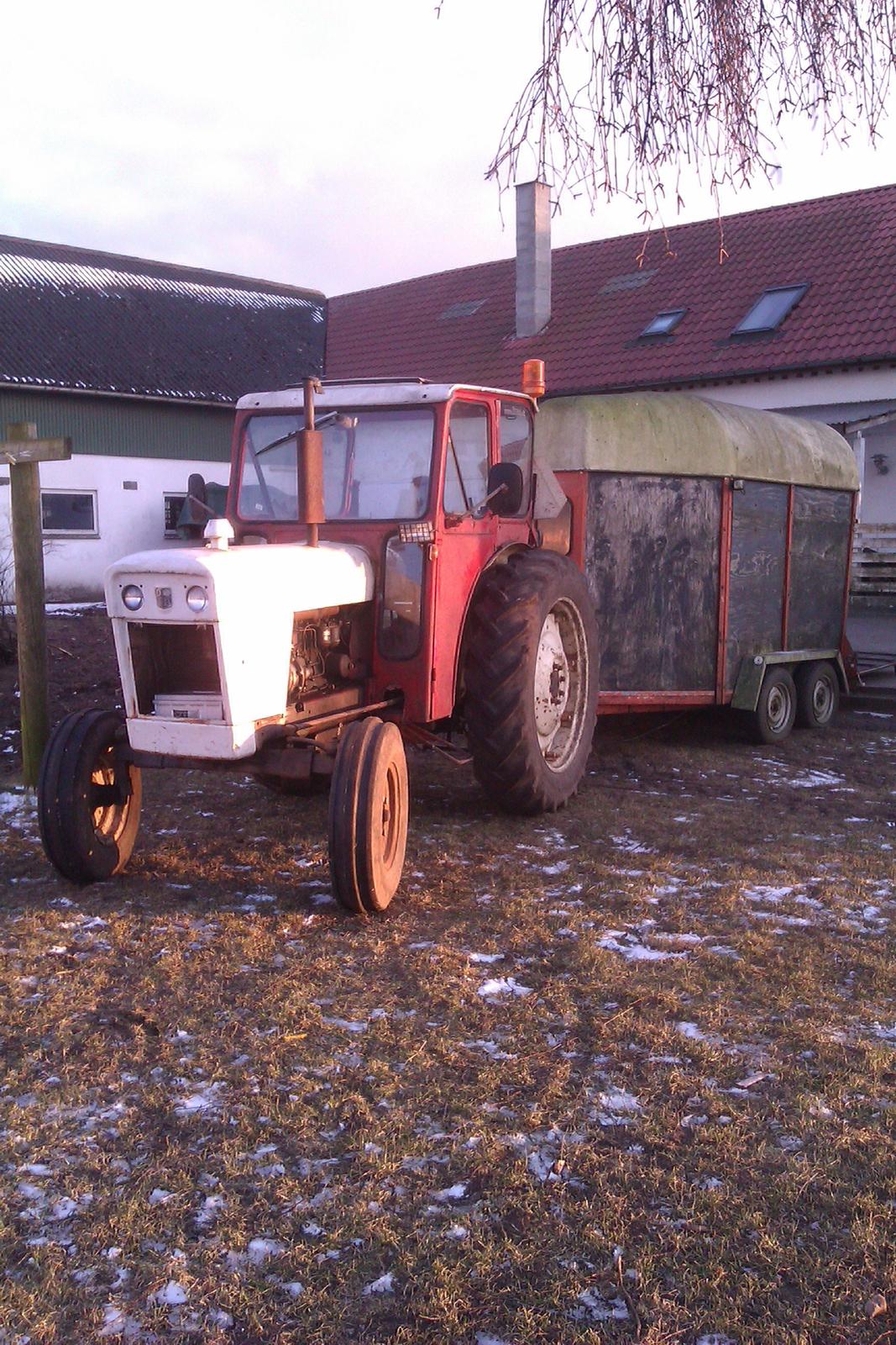 David Brown 990 Selectamatic - Daviden spændt for en gammel heste trailer. billede 19