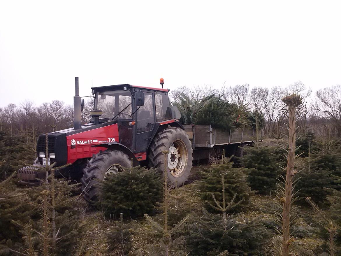 Valmet 705 billede 8