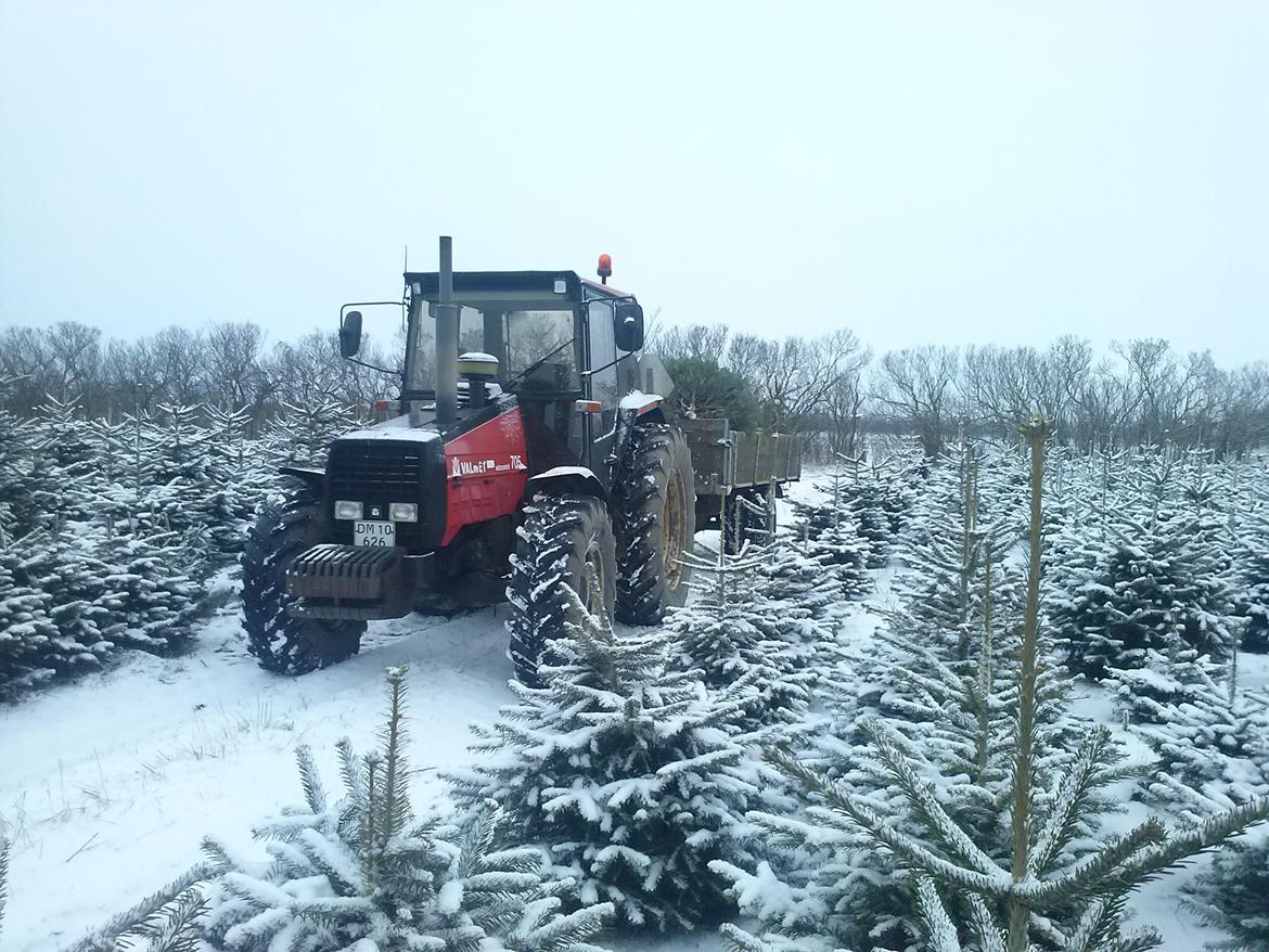 Valmet 705 billede 9