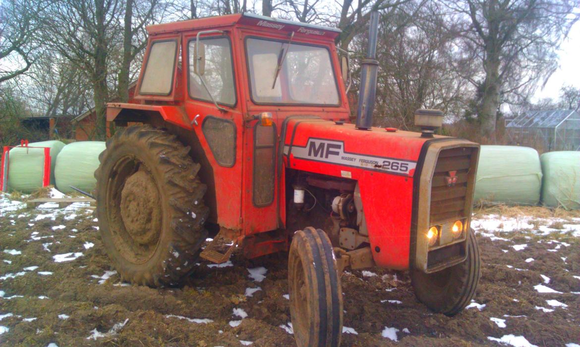 Massey Ferguson 265 - Vores dejlige Mf 265´er :) billede 1