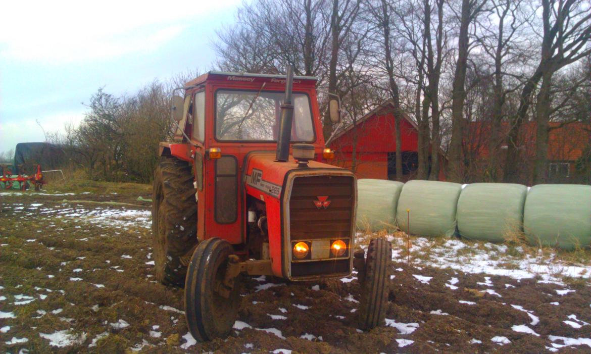 Massey Ferguson 265 billede 2