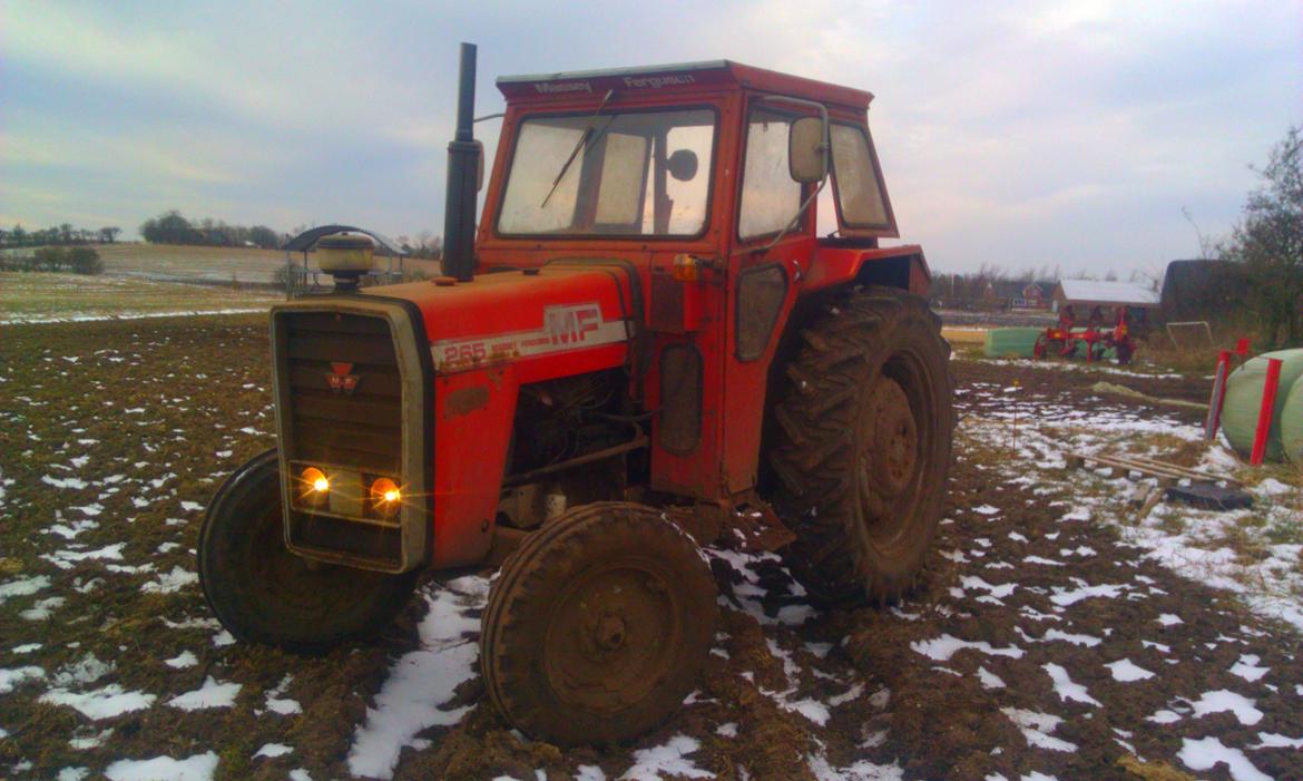 Massey Ferguson 265 - Lige et billed fra siden  billede 3