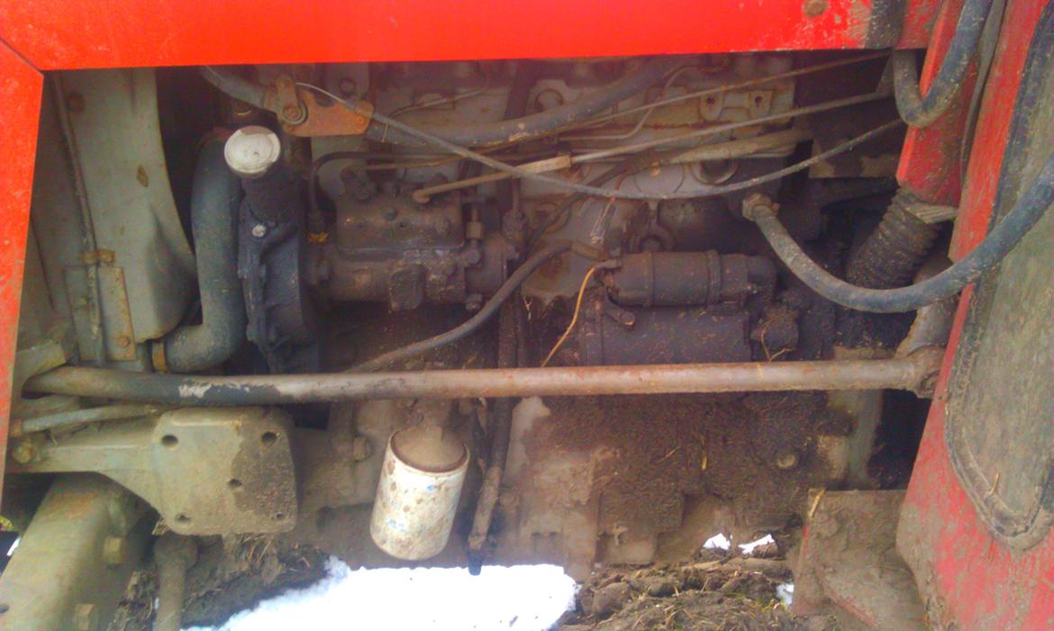Massey Ferguson 265 - Venstre side af motoren  billede 8