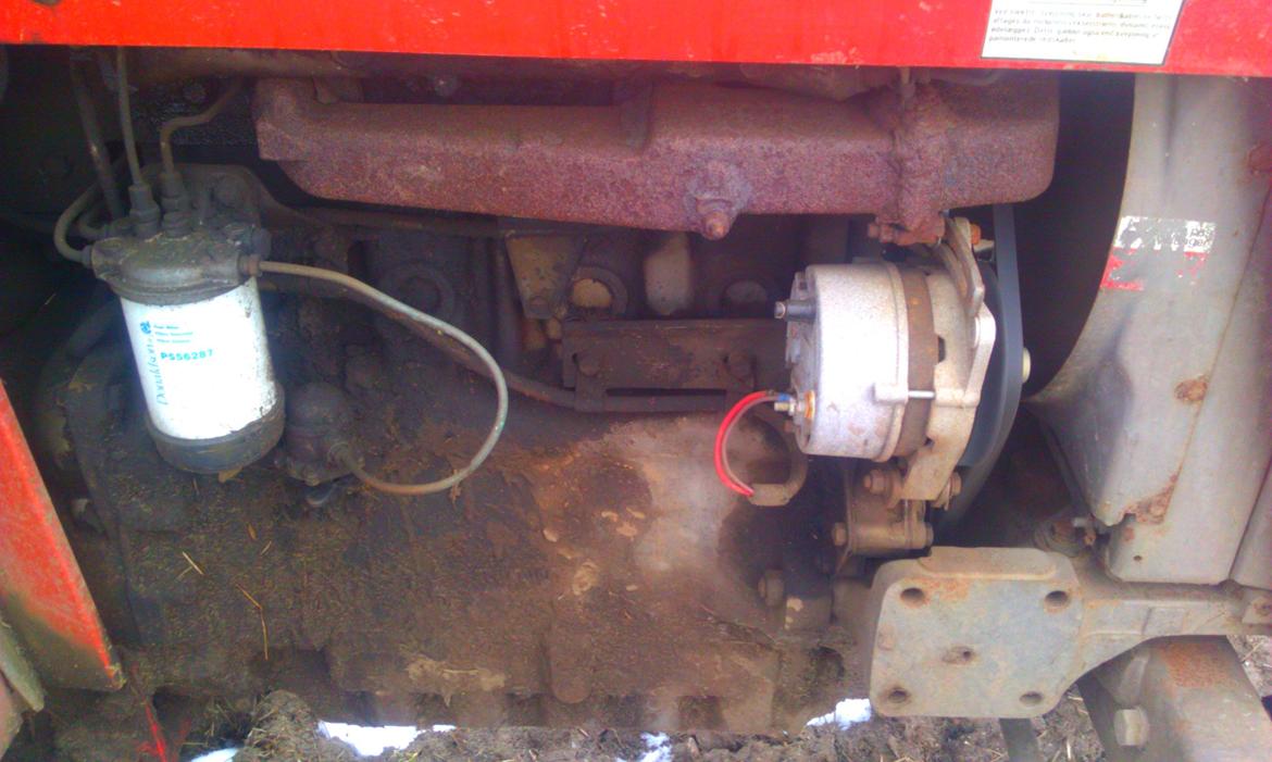 Massey Ferguson 265 - Højre side af motoren billede 9