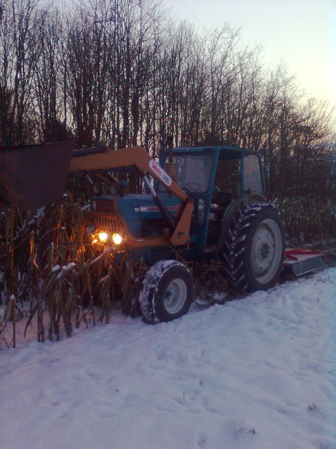 Ford 5000 Y - Slåning af vildtmajs. En kold fornøjelse når pudseren sender fygesne ind i nakken på en :-) billede 15