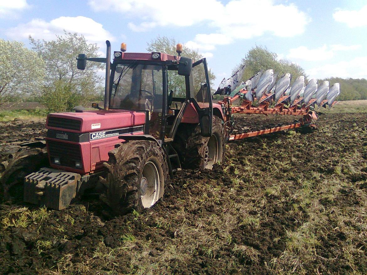 Case IH 1455 XL - ups billede 5