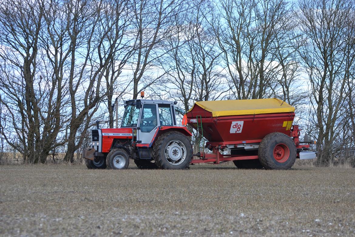 Massey Ferguson 675 - Gødning D. 02-04-13 billede 13