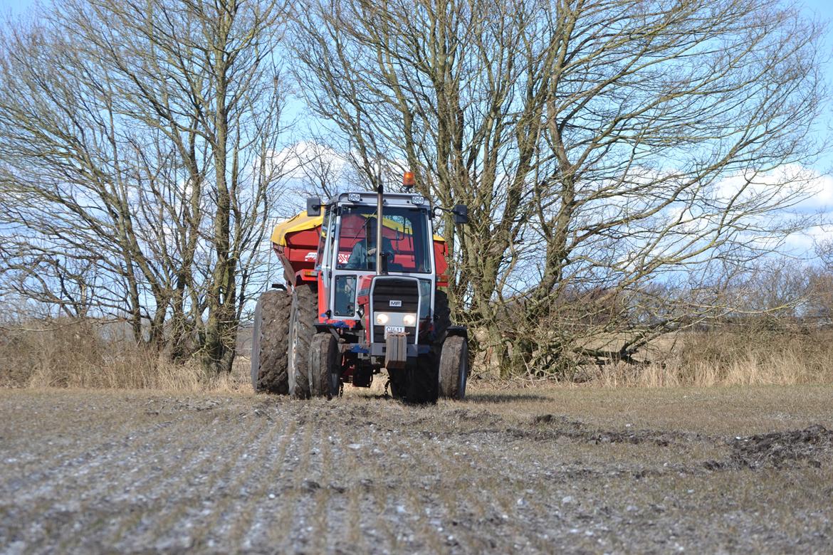 Massey Ferguson 675 - Gødning D. 02-04-13 billede 14