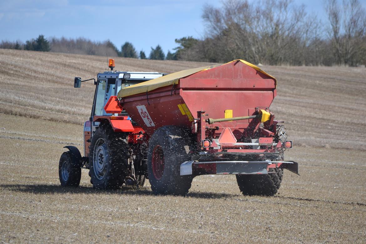 Massey Ferguson 675 - Gødning D. 02-04-13 billede 16
