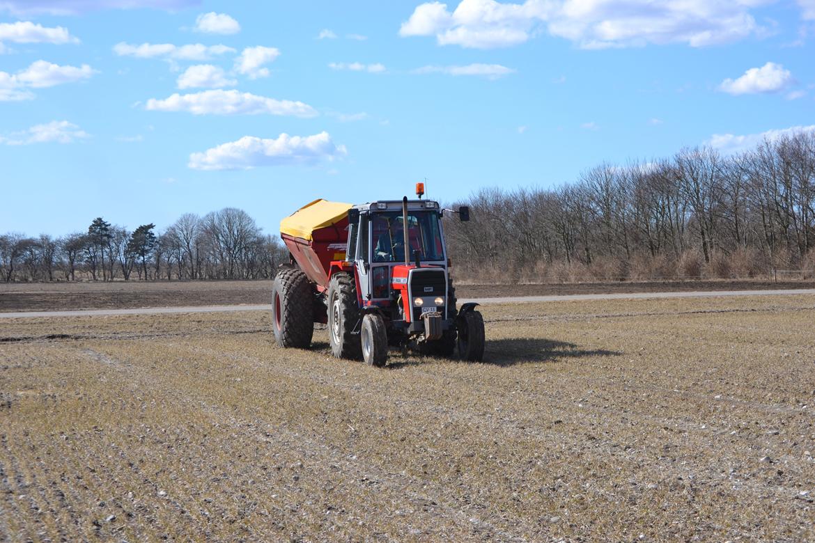 Massey Ferguson 675 - Gødning D. 02-04-13 billede 19
